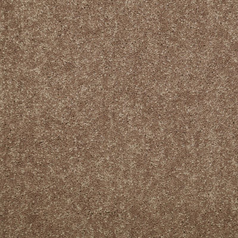 Shaw Floors Value Collections Dyersburg Classic 12 Net Candied Truffle