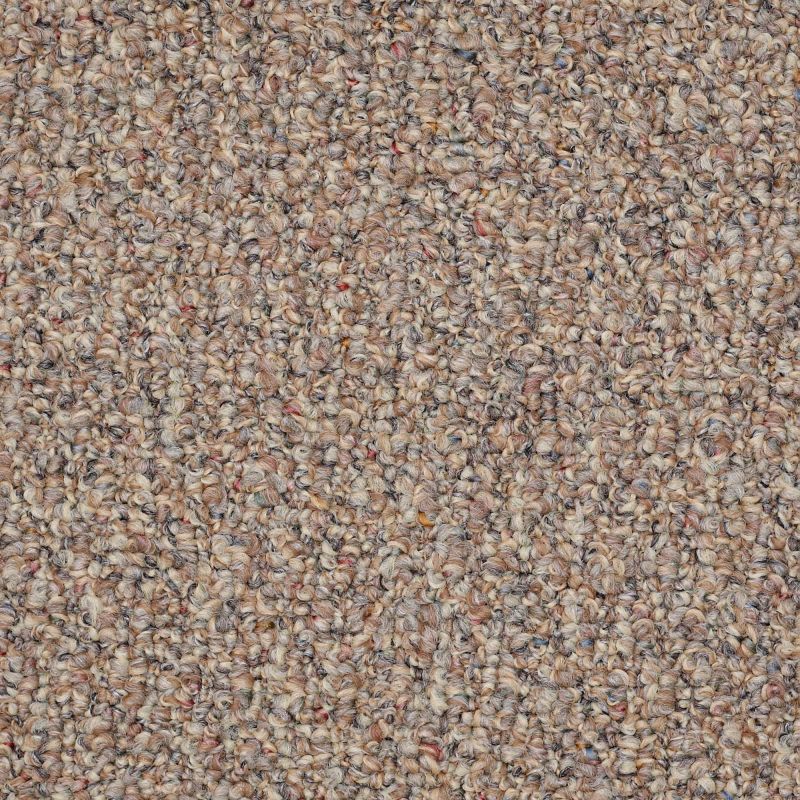 Shaw Floors Value Collections Pure Waters 12' Net Moonlight Path