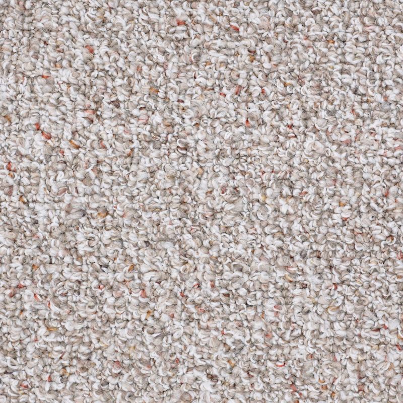 Shaw Floors Value Collections Pure Waters 12' Net Pebble Path