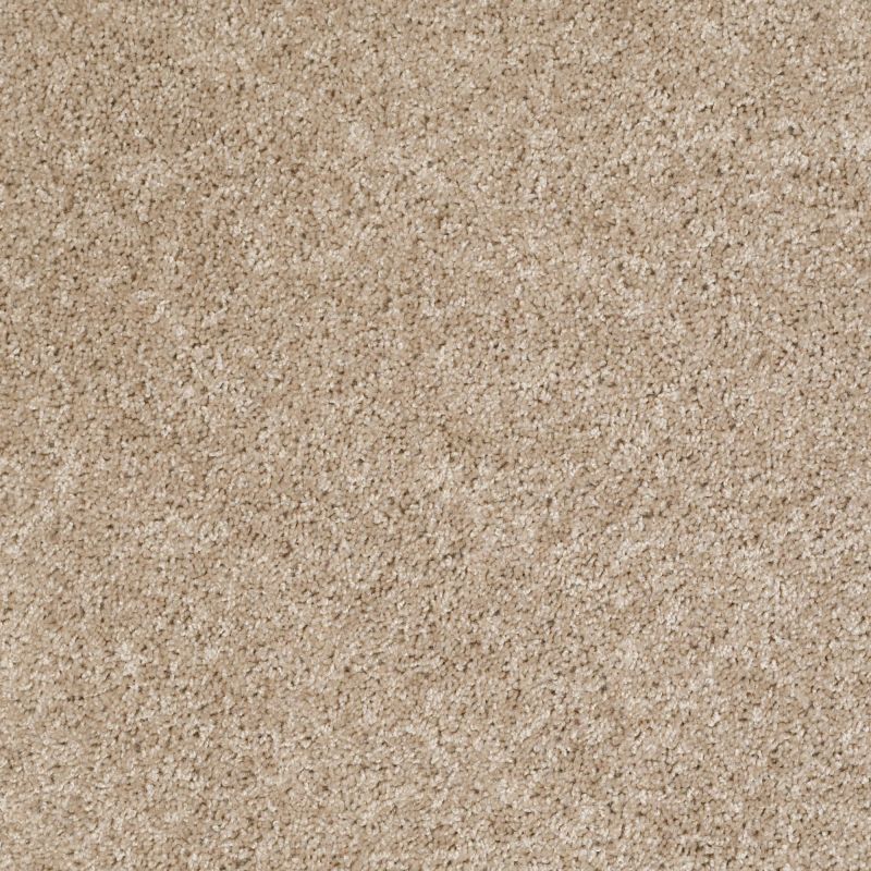 Shaw Floors Commercial Hardwood Vitalize (s) Net Stucco