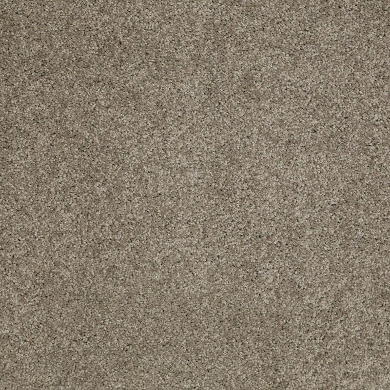 Shaw Floors Origins II Elephant