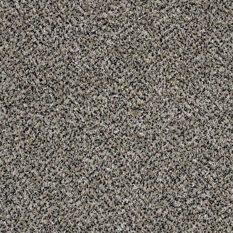 Shaw Floors Value Collections Because We Can III 12' Net Birch Tree