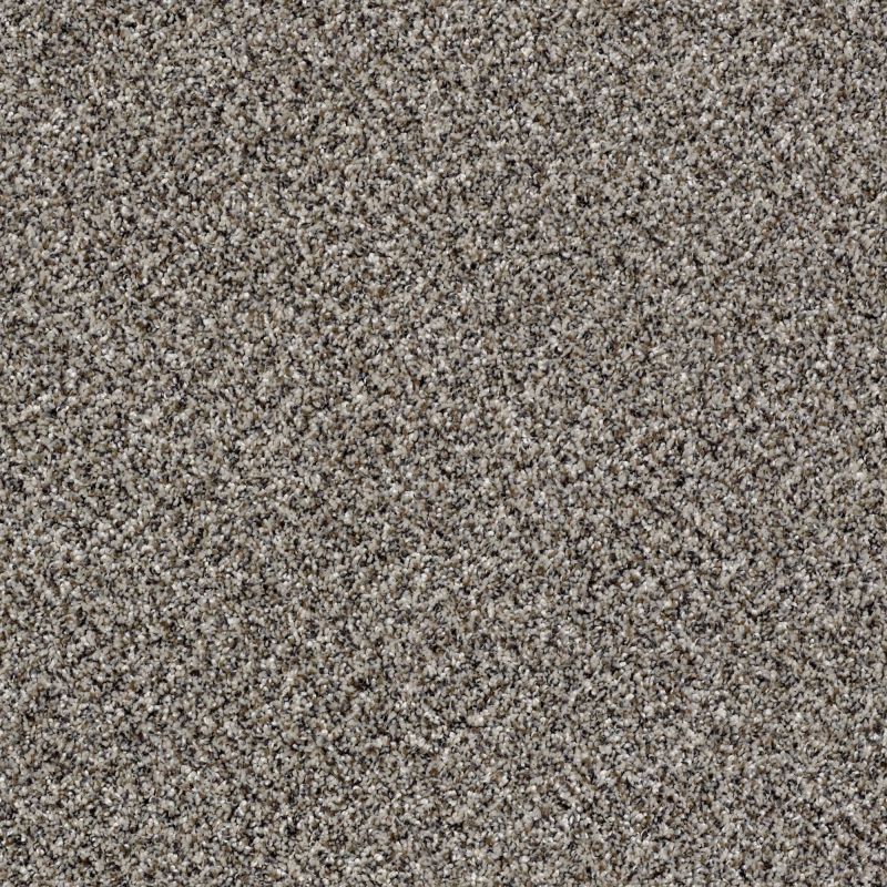 Shaw Floors Value Collections Because We Can III 12' Net Alaskan Air