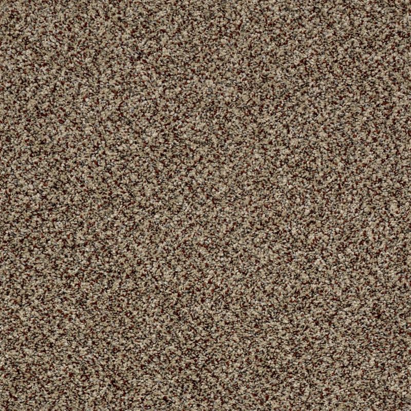 Shaw Floors Value Collections Because We Can III 12' Net Worn Path