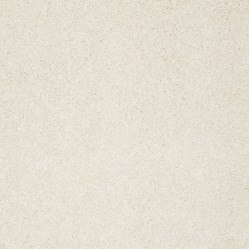 Shaw Floors Value Collections Platinum Texture 12' Net Pearl Glaze