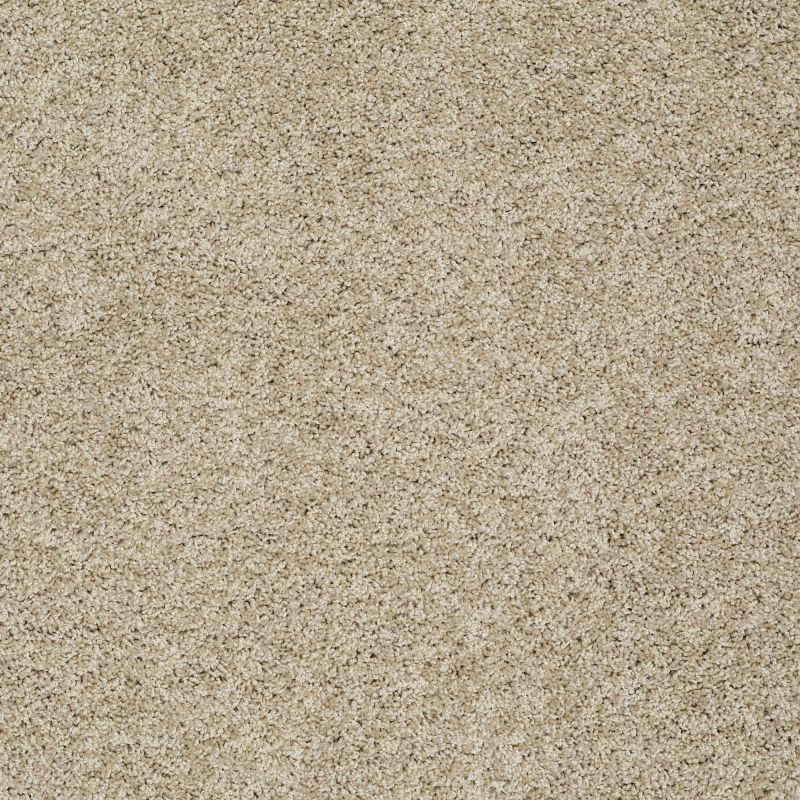 Shaw Floors Value Collections Gold Twist Net Riverbank