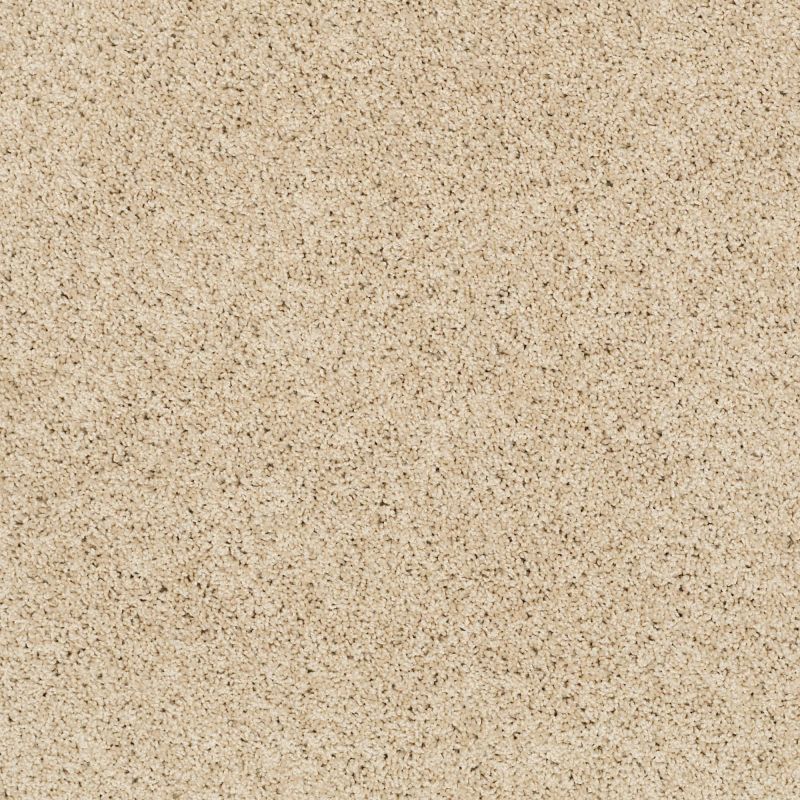 Shaw Floors Value Collections Platinum Twist Net Chenille Soft