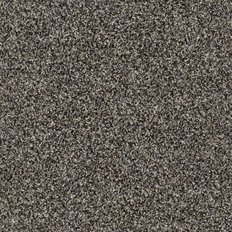 Shaw Floors Simply The Best Frosting Goal Post