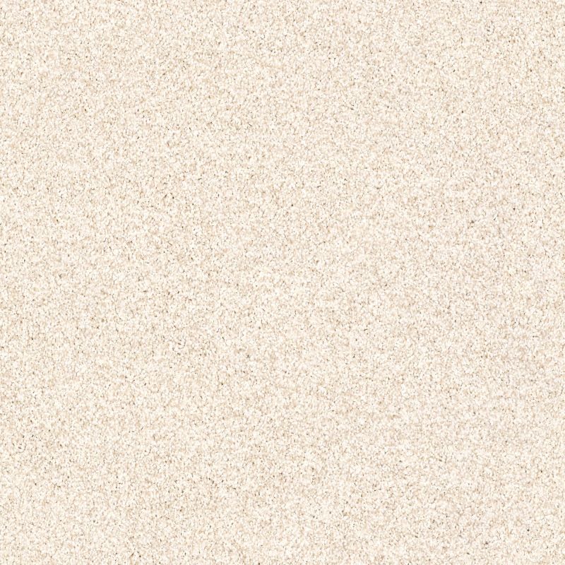 Shaw Floors Foundations Palette Pebble