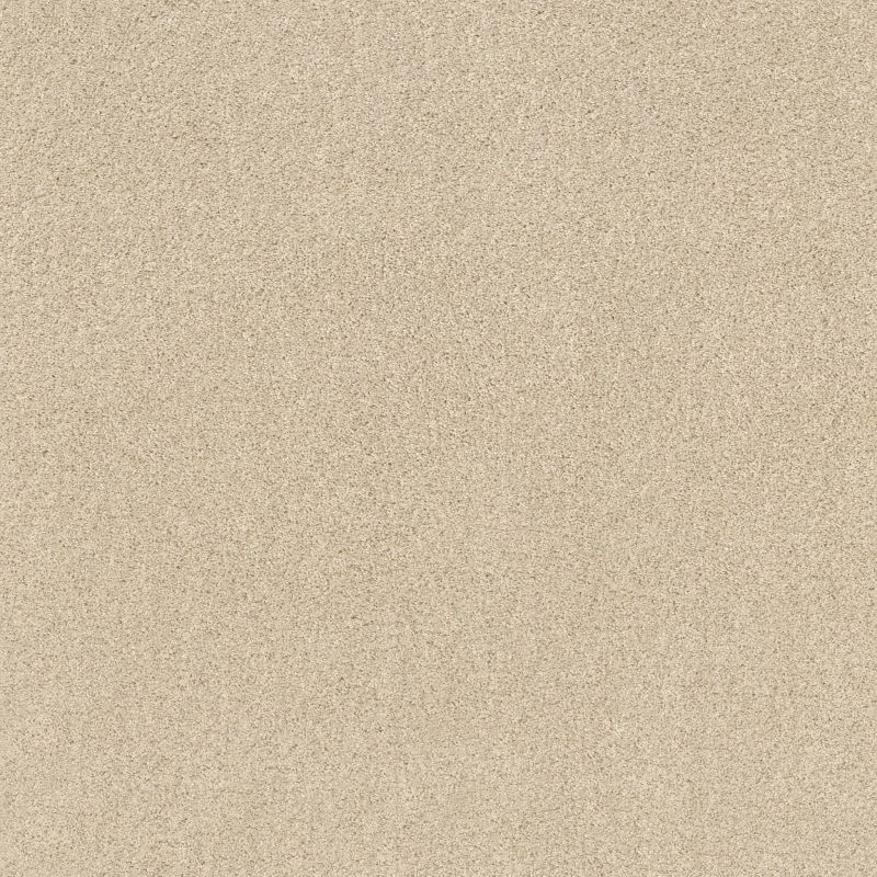Shaw Floors Value Collections Origins II Net Winter White