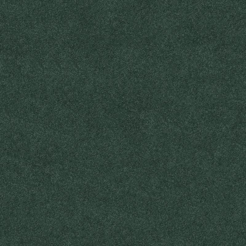 Shaw Floors Value Collections Origins II Net Shamrock