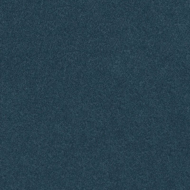 Shaw Floors Value Collections Origins II Net Bayside