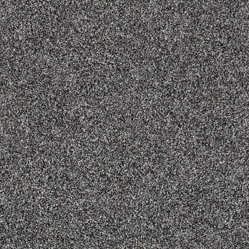 Shaw Floors Value Collections Of Course We Can I 12 Net Shadow