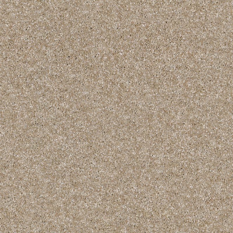 Shaw Floors Value Collections Of Course We Can II 15' Net Sand Castle