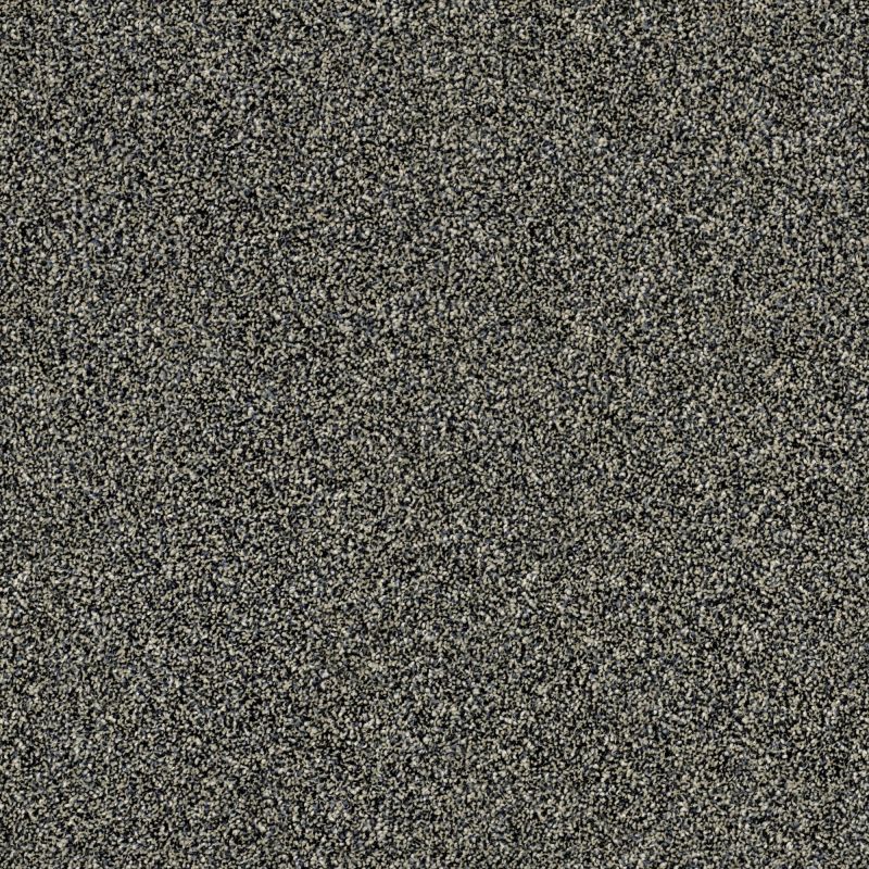 Shaw Floors Value Collections Of Course We Can III 12' Net Marina