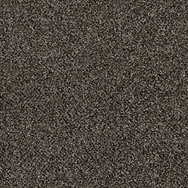 Shaw Floors Value Collections Of Course We Can III 15' Net Boulder