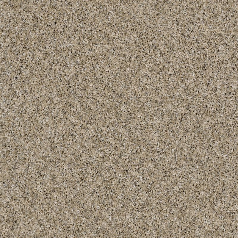 Shaw Floors Value Collections Frosting Net Moonlit Sand