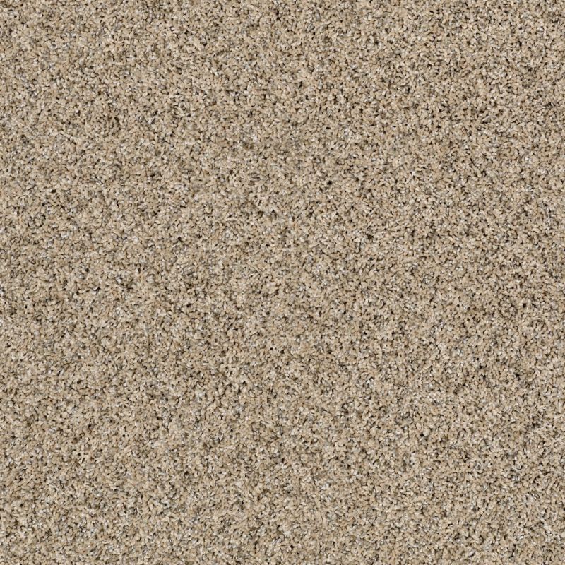 Shaw Floors Value Collections Frosting Net Salty Butter