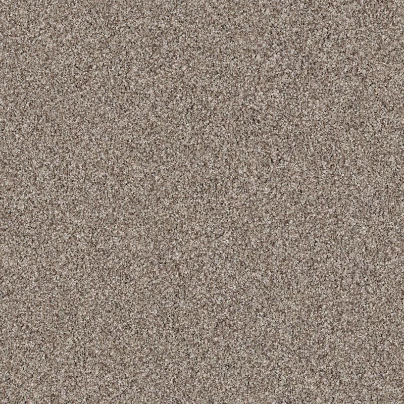 Shaw Floors Value Collections Palette Net Barn Wood