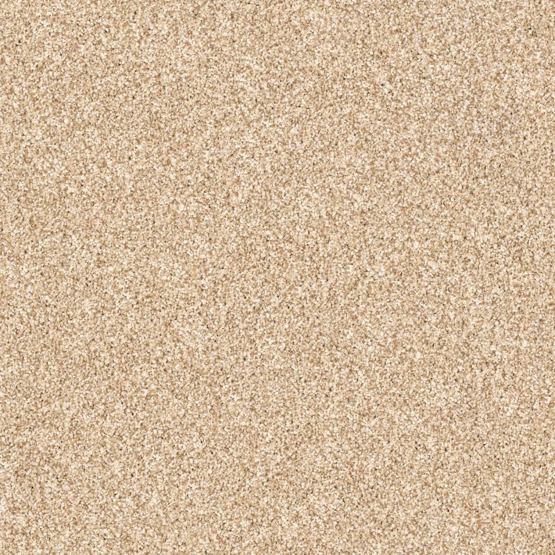 Shaw Floors Value Collections Palette Net Summer Straw