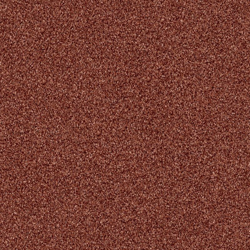 Shaw Floors Value Collections Palette Net Copper