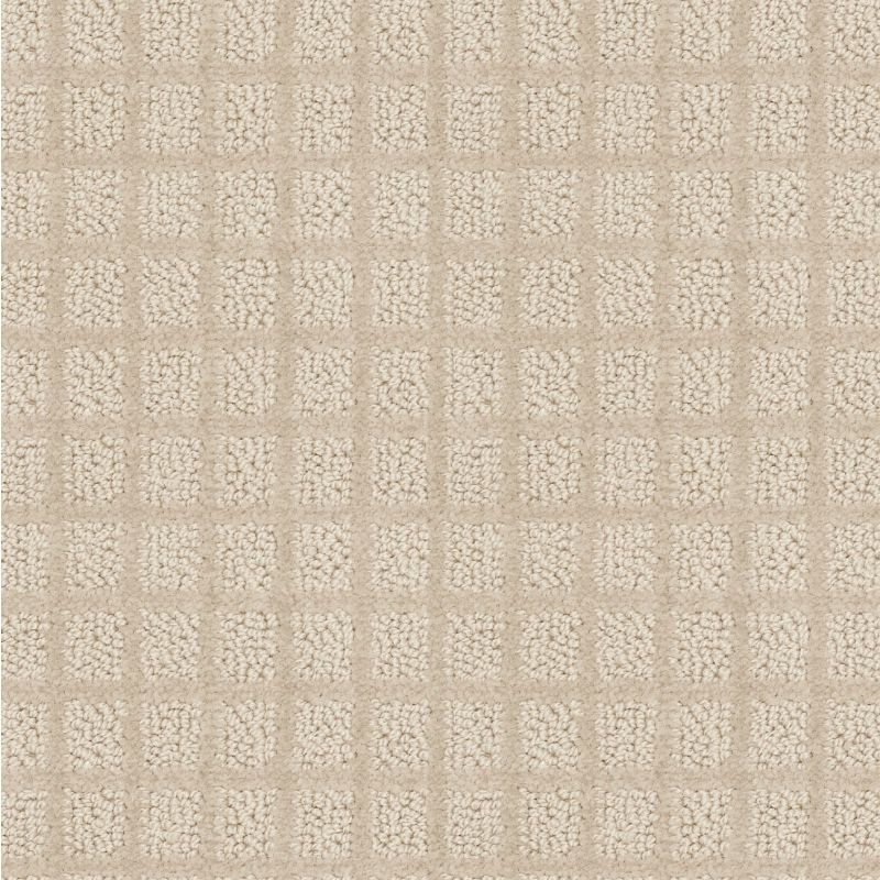 Shaw Floors Value Collections Blocking Net Ub Flax