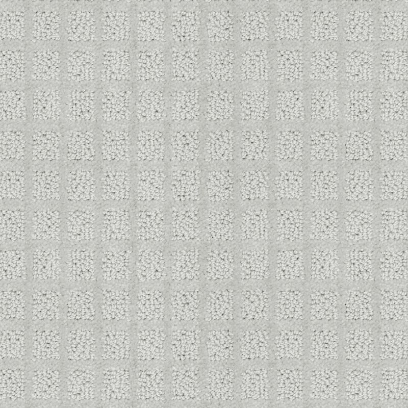 Shaw Floors Value Collections Blocking Net Ub Silver