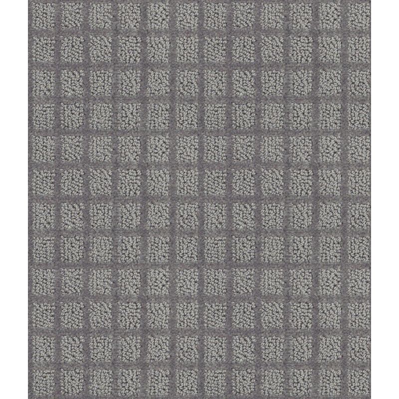 Shaw Floors Value Collections Blocking Net Ub Iron