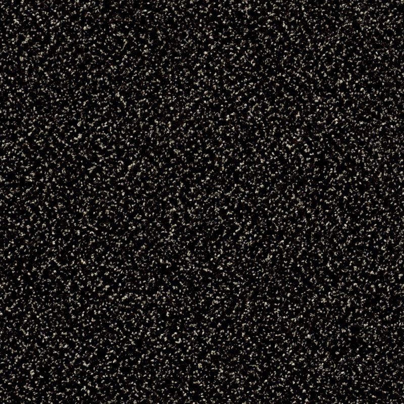 Shaw Floors You Can Do It I 15' Wild Horses