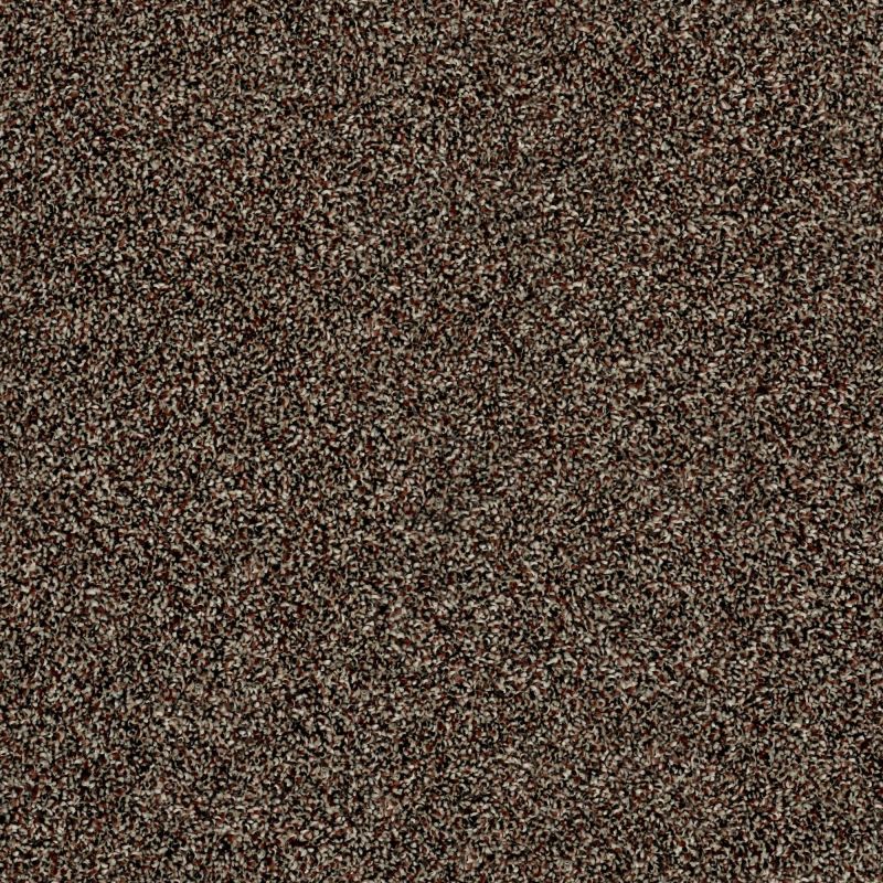 Shaw Floors Work Your Magic Manor House