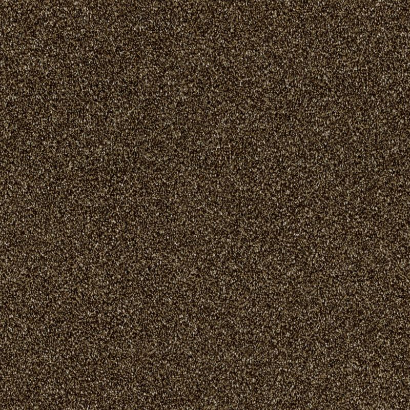 Shaw Floors Value Collections Luminous Net Bunk House