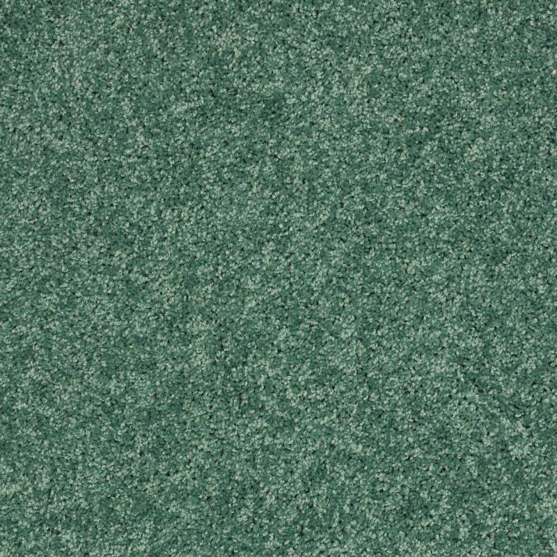 Shaw Floors Value Collections Kid Crossing Net Leap Frog