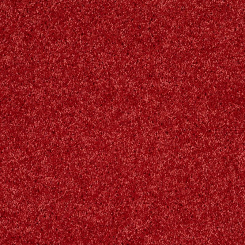Shaw Floors Value Collections Kid Crossing Net Fire Engine