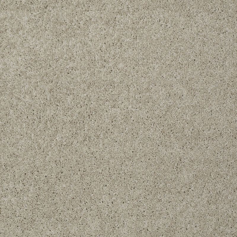 Shaw Floors Value Collections My Choice III Net Bare Essence