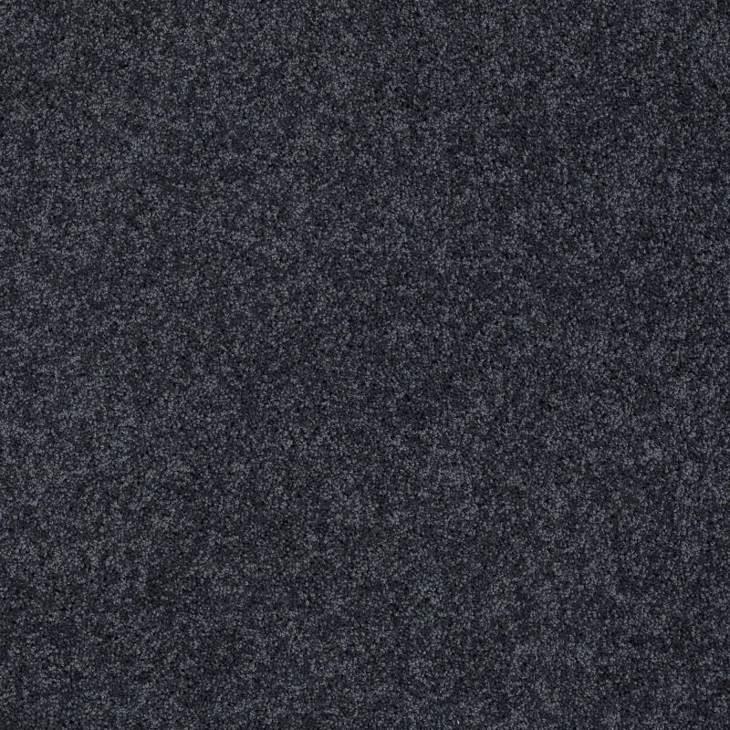 Shaw Floors Value Collections My Choice III Net Indigo