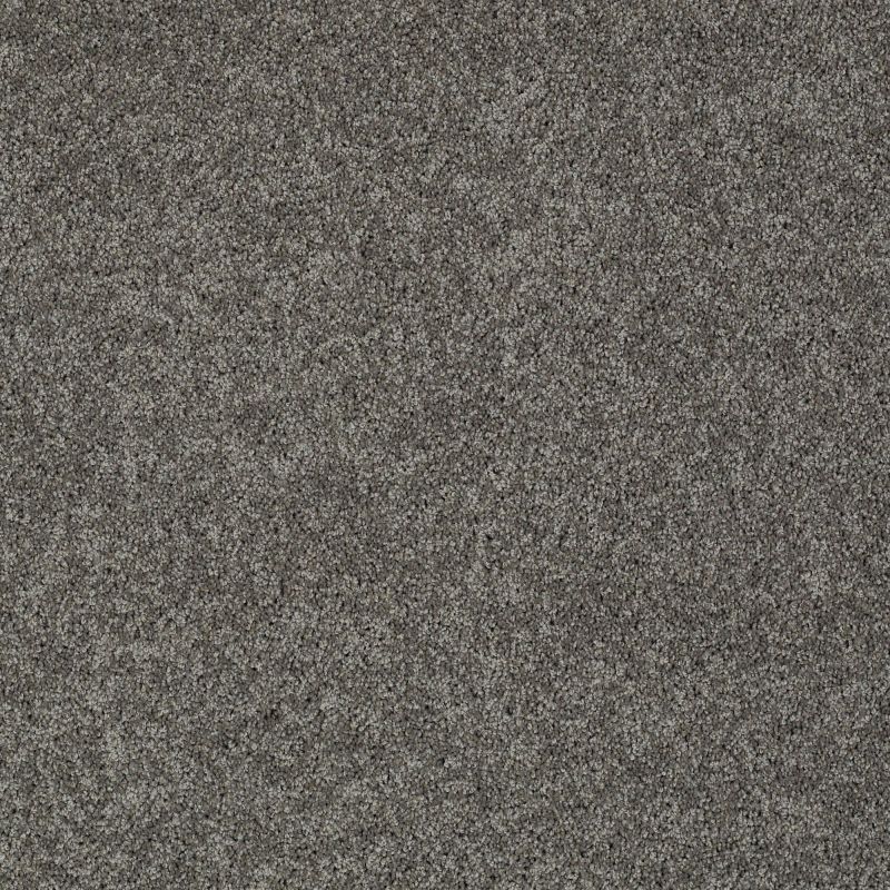 Shaw Floors Value Collections My Choice III Net Graphite