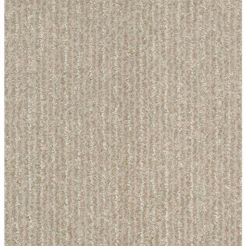 Shaw Floors Pet Perfect Plus Outside The Lines Gold Rush