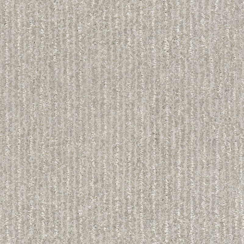 Shaw Floors Pet Perfect Plus Outside The Lines Sterling
