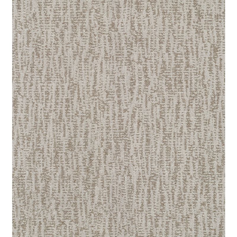 Shaw Floors Pet Perfect Plus Obvious Choice Platinum