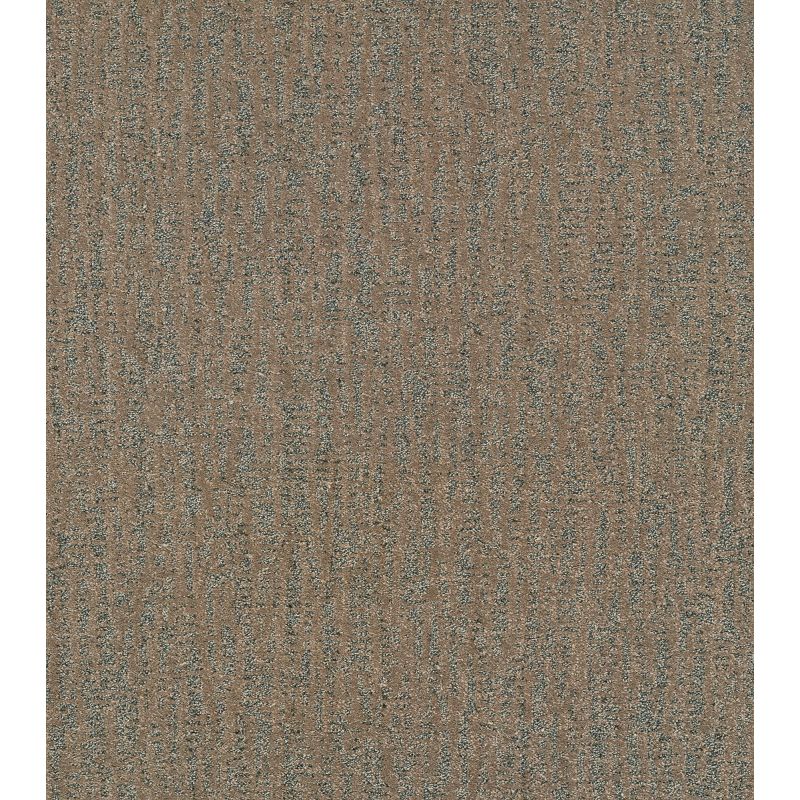 Shaw Floors Pet Perfect Plus Obvious Choice Bronze