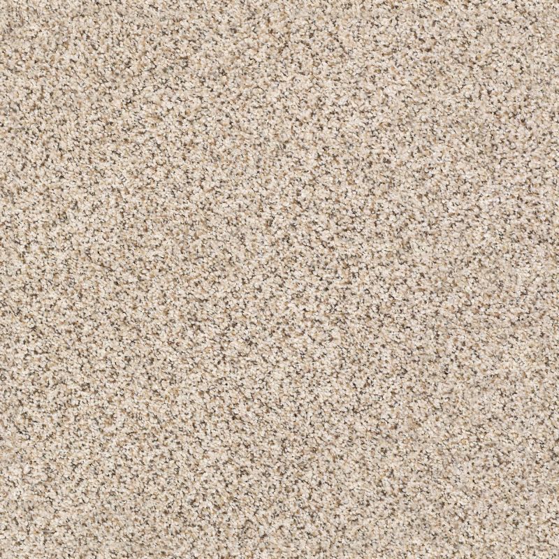 Shaw Floors Foundations Elemental Mix III Net Horizon