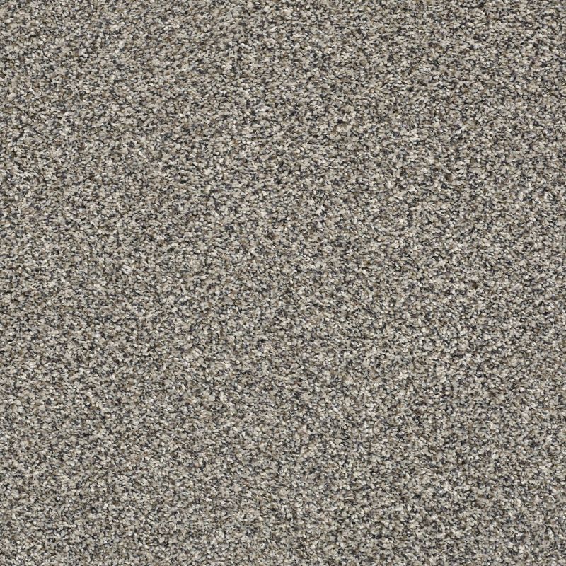 Shaw Floors Pet Perfect Plus Perpetual II Fog