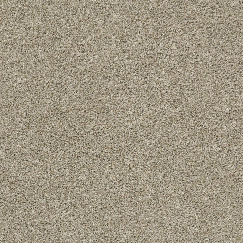 Shaw Floors Shake It Up (t) Stucco