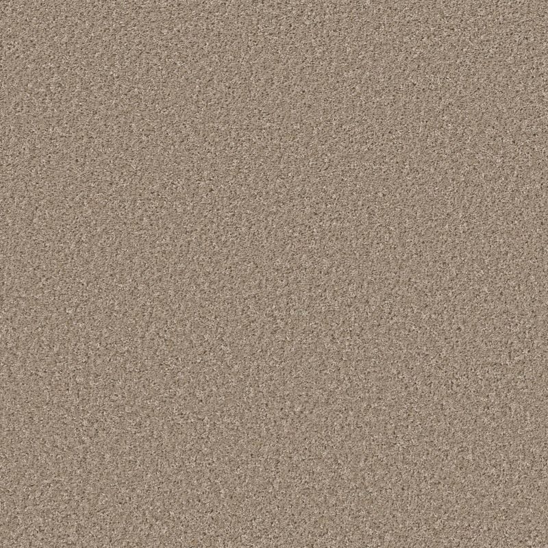 Shaw Floors Shake It Up (s) Morning Latte