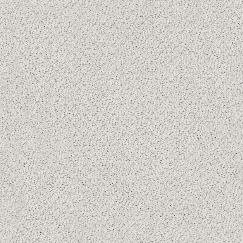 Shaw Floors Foundations Smart Thinking Silver Charm