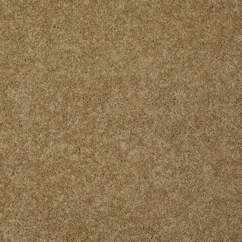 Shaw Floors Foundations Keen Senses II Net Warmth