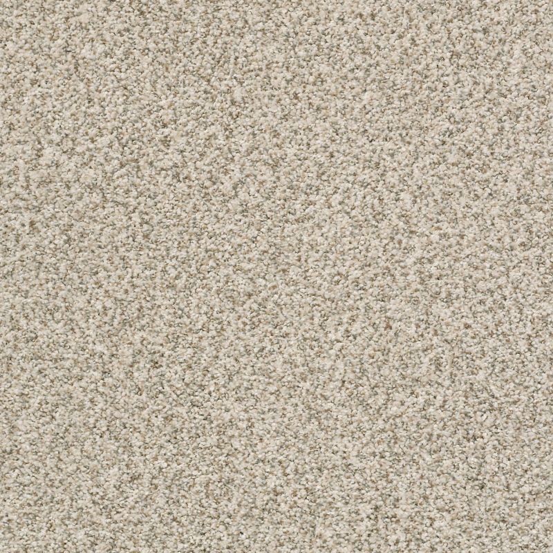 Shaw Floors Foundations Make It Work Net Cocoa Butter