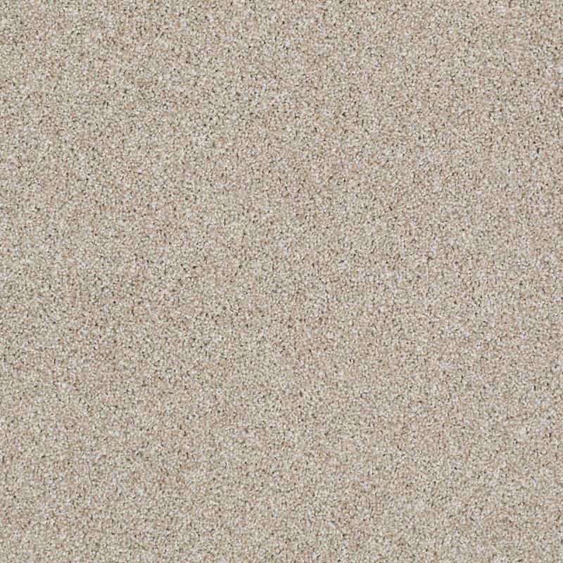 Shaw Floors Foundations Always Ready I Net Biscotti