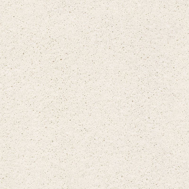 Shaw Floors Foundations Always Ready II Net Crisp Linen