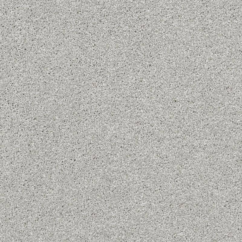 Shaw Floors Foundations Always Ready II Net Vapor